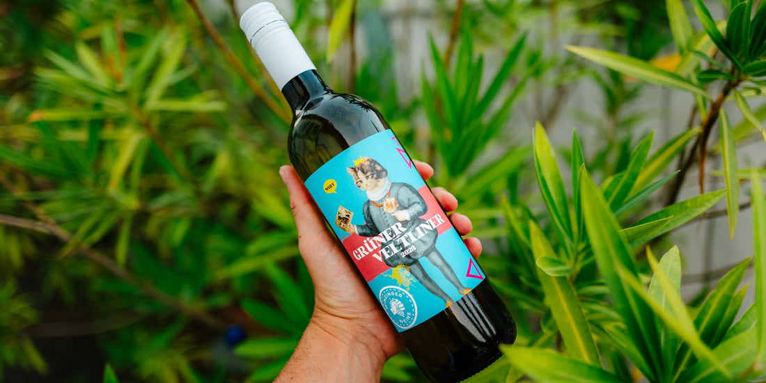 Die Rebsorte Grüner Veltliner